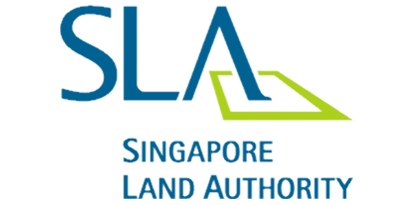 31 logo