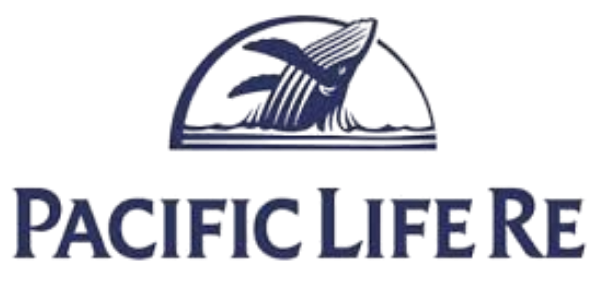 40 logo