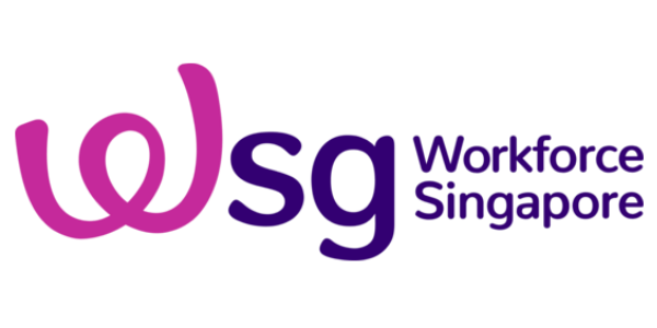 43 logo